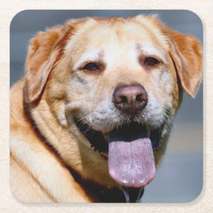 Porta-copo De Papel Quadrado Grin