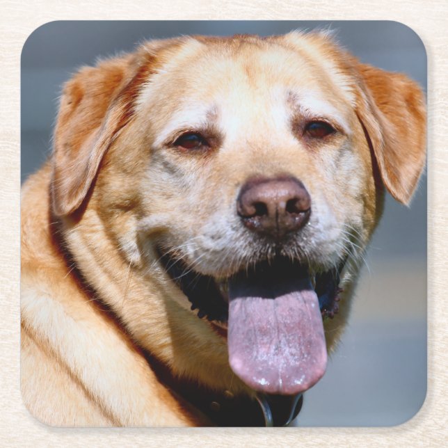 Porta-copo De Papel Quadrado Grin (Frente)