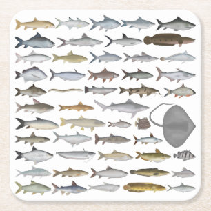 Porta-copo De Papel Quadrado Grupo de Peixes de Água Doce da Ásia do Sul