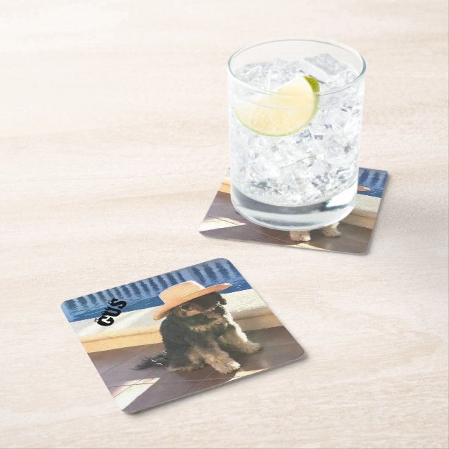 Porta-copo De Papel Quadrado Gus The Tibetan (Insitu)