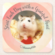 HammyVille - Hamster Bonito Começa Todos Os Dias G