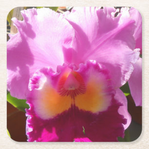 Porta-copo De Papel Quadrado Harlinde