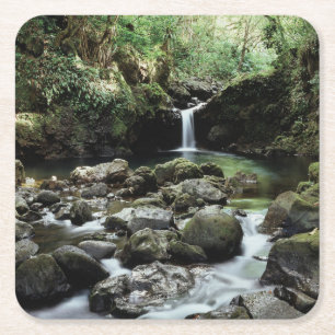 Porta-copo De Papel Quadrado Havaí, Maui, Uma cachoeira deságua na Piscina Azul