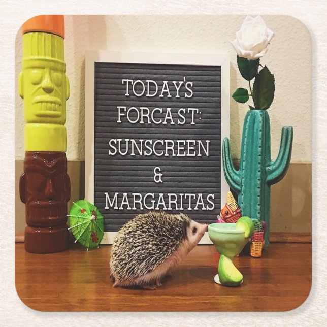 Porta-copo De Papel Quadrado Hedgehog Sunscreen e Margaritas (Frente)