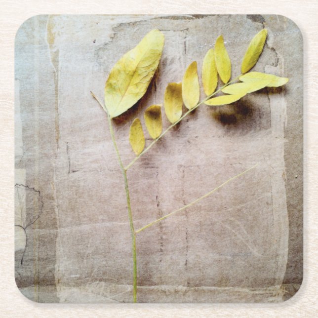 Porta-copo De Papel Quadrado Herbário V (Frente)