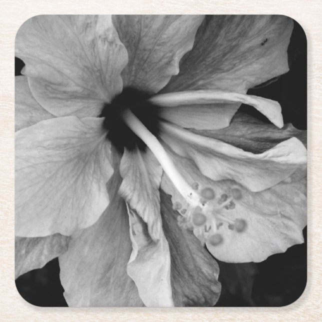 Porta-copo De Papel Quadrado Hibisco  (Frente)