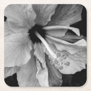 Porta-copo De Papel Quadrado Hibiscus Flyer