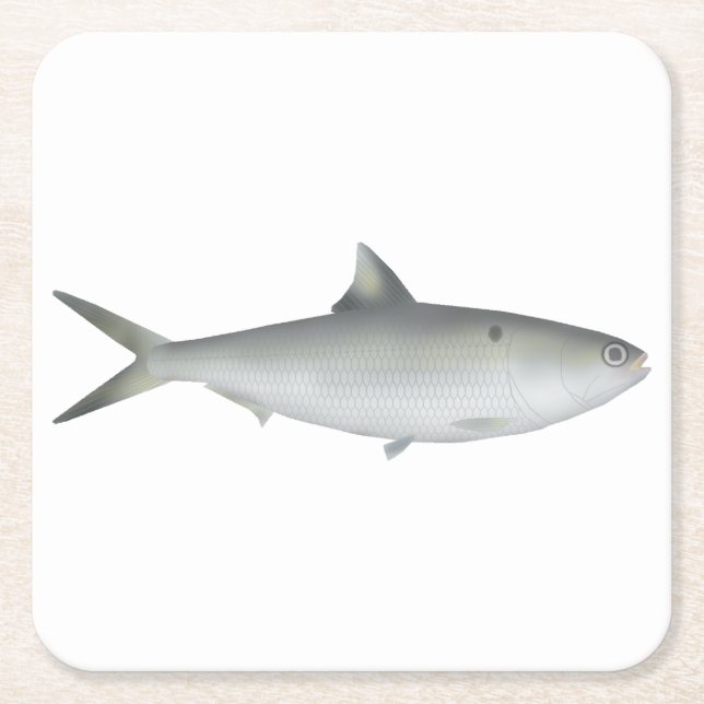 Porta-copo De Papel Quadrado Hilsa Shad (Frente)