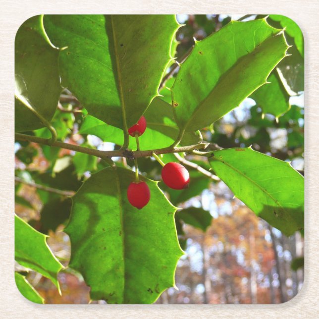 Porta-copo De Papel Quadrado Holly Sai do Feriado II Botânico (Frente)