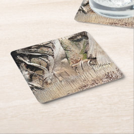 Porta-copo De Papel Quadrado Imagem de Foto de Fechamento de Textura de Tronco