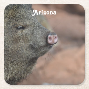 Porta-copo De Papel Quadrado Javelina