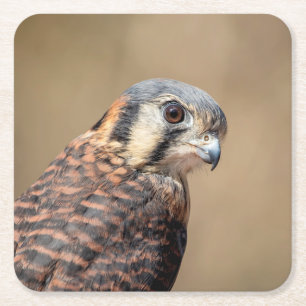 Porta-copo De Papel Quadrado Kestrel Americano