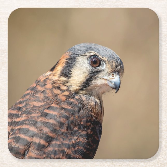 Porta-copo De Papel Quadrado Kestrel Americano (Frente)