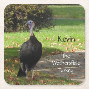 Porta-copo De Papel Quadrado Kevin The Turkey - Old Wethersfield, CT