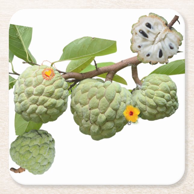 Porta-copo De Papel Quadrado La pomme-cannelle - Verre à shot (Frente)