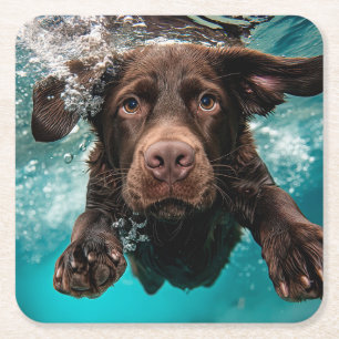 Porta-copo De Papel Quadrado Labrador Chocolate Alegre Nadando Submerso