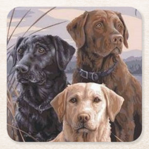 Porta-copo De Papel Quadrado Labrador Retrievers