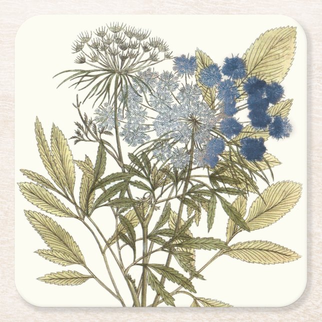 Porta-copo De Papel Quadrado Lacy Leaves - Flores e Verde (Frente)