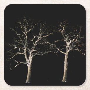 Porta-copo De Papel Quadrado Lado Escuro 9, litoral nm