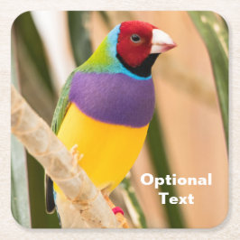 Porta-copo De Papel Quadrado Lady Gouldian Finch