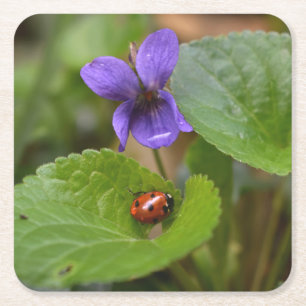 Porta-copo De Papel Quadrado Ladybug em Flores de Violeta Doce