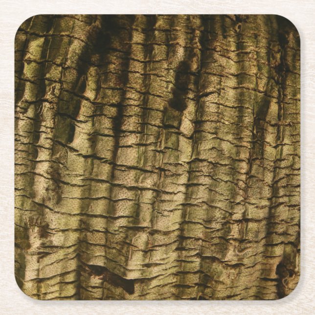 Porta-copo De Papel Quadrado Latido Palm Tree (Frente)