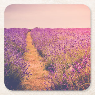 Porta-copo De Papel Quadrado Lavander