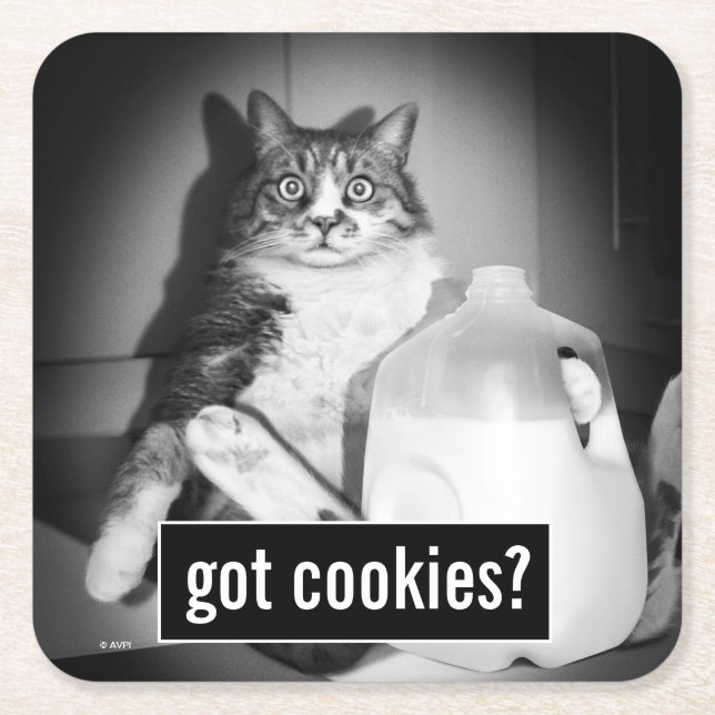 Porta-copo De Papel Quadrado Leite De Bebendo De Gato De Jug (Frente)