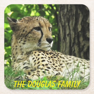 Porta-copo De Papel Quadrado Leopardo de Fecho