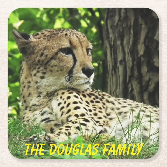 Porta-copo De Papel Quadrado Leopardo de Fecho (Frente)