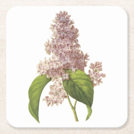 Porta-copo De Papel Quadrado lilac(Syringa sp.) por Redouté
