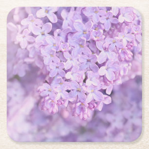 Porta-copo De Papel Quadrado Lilacs franceses roxos macios