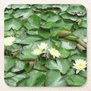 Porta-copo De Papel Quadrado Lillies de Água