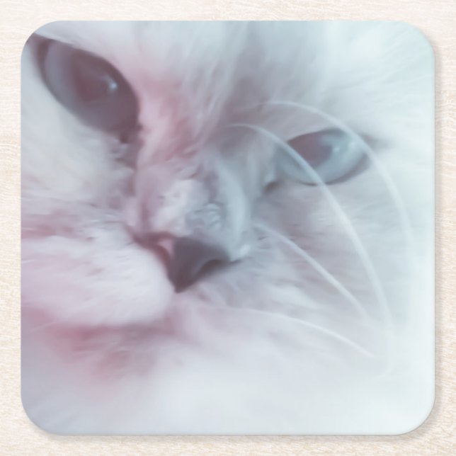 Porta-copo De Papel Quadrado Lilly (Frente)