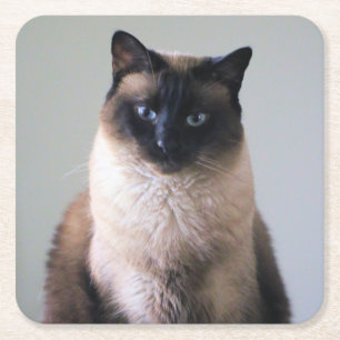 Porta-copo De Papel Quadrado Lily