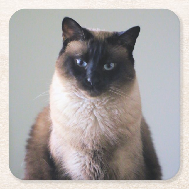 Porta-copo De Papel Quadrado Lily (Frente)