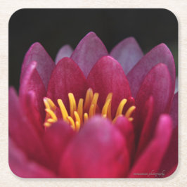 Porta-copo De Papel Quadrado Lily Água