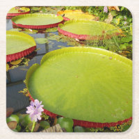 Lily Pads Porta copos de papel