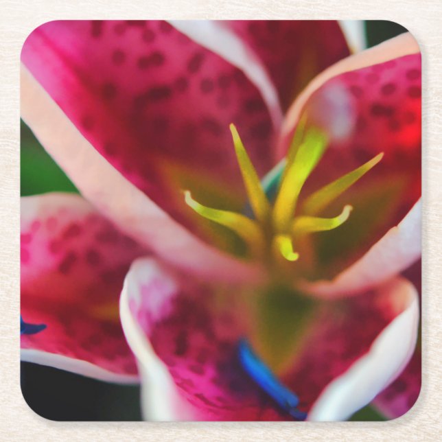 Porta-copo De Papel Quadrado Lily Rosa (Frente)