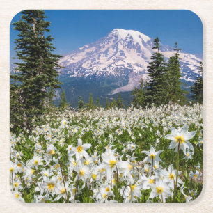 Porta-copo De Papel Quadrado Lírios avalanche e Monte Rainier 2