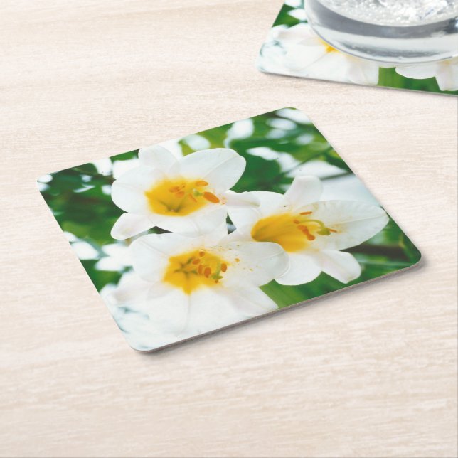 Porta-copo De Papel Quadrado Lírios brancos - Lily Flower Lilium candidata (Inclinado)