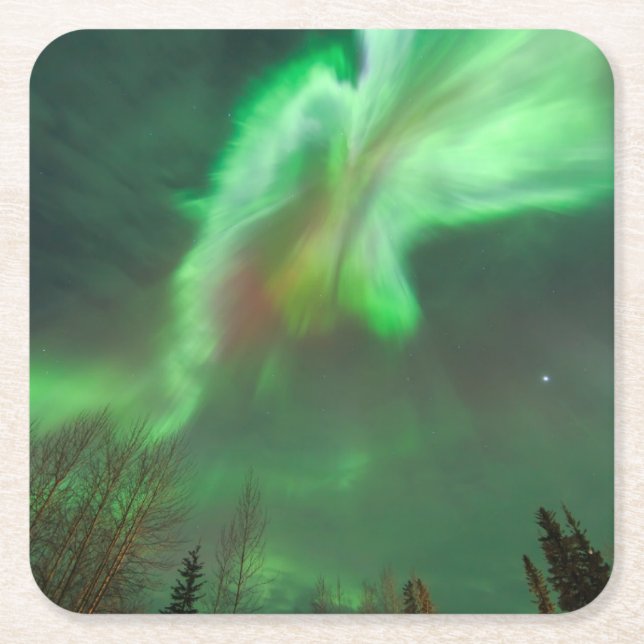 Porta-copo De Papel Quadrado Luzes Nortes Aurora Borealis | Fairbanks (Frente)