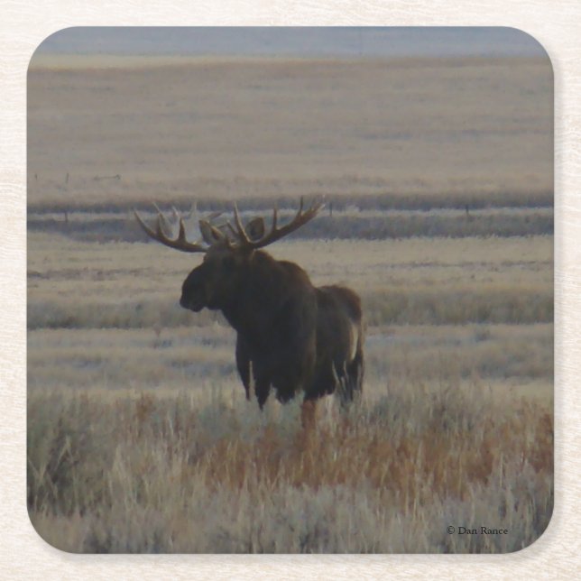 Porta-copo De Papel Quadrado M1 Bull Moose (Frente)