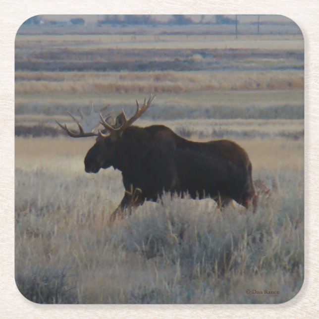 Porta-copo De Papel Quadrado M2 Bull Moose (Frente)