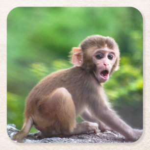 Porta-copo De Papel Quadrado Macaco-bebê bonito e adorável