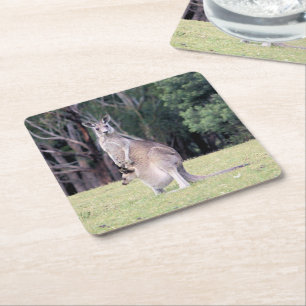 Porta-copo De Papel Quadrado Mãe Kangaroo com Bebê Joey em sua bolsa