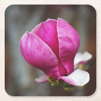 Porta-copo De Papel Quadrado Magnólia Rosa em Flor Total