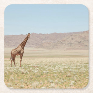 Porta-copo De Papel Quadrado Maiestosa Girafa na savana africana
