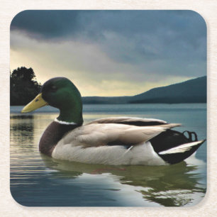 Porta-copo De Papel Quadrado Mallard Duck No Lago