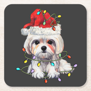 Porta-copo De Papel Quadrado Maltês - Natal, Xmas Maltês - Cão Maltês
